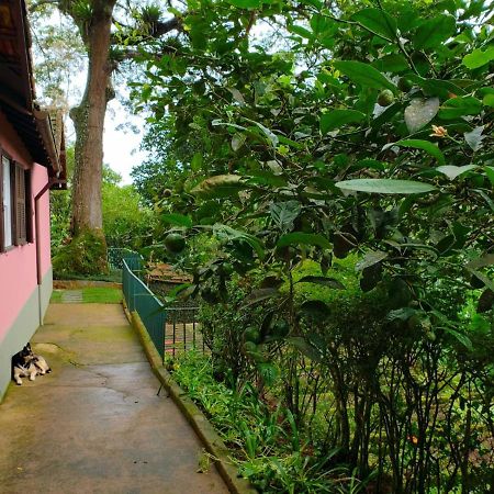 Casa Fazenda Inglesa - Anexo Villa Petrópolis Eksteriør billede