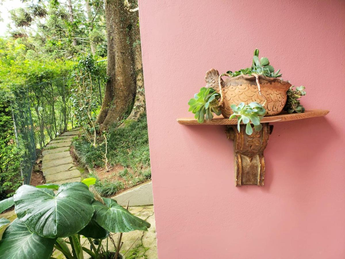 Casa Fazenda Inglesa - Anexo Villa Petrópolis Eksteriør billede